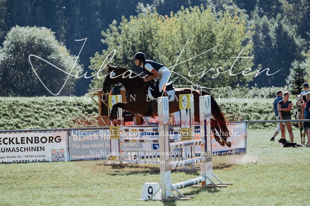 DSC_5436 | Pferde- und Turnierfotografie in Westsachsen. Pferdeportraits, Auftragszeichnungen und intuitive Kunst.