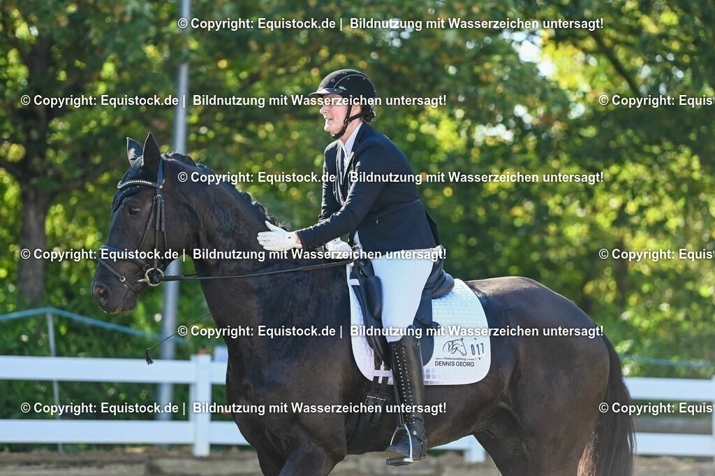 20230715_06_Dressurpferdeprfg. Kl.A_0028 | equistock