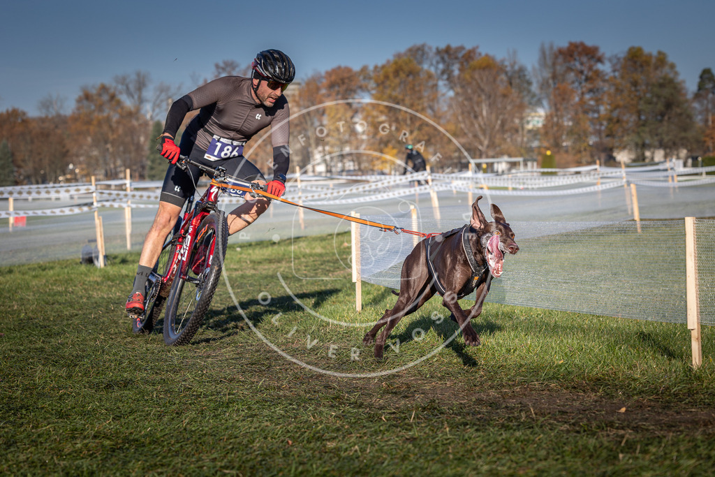 CaniXpix_0L8A4302 | Hundefotografie, Tierfotograf, Pfotenfotografie, Fotoshooting Hund, Hunde Portrait, Hundesport, Hundeportraits, Heideshooting, Hunde, Sportfotograf, Hundefotograf, Turnierhundsport, THS,  - Realisiert mit Pictrs.com