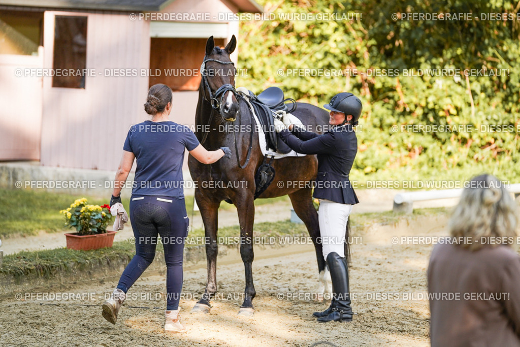 DSC05655 | Pferdegrafie