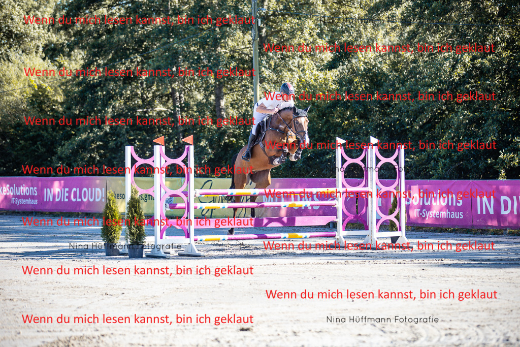 BK1A5963 | Turnierbilder Turnierfotos Nina Hüffmann Turnierfotografie Pferdefotografie Tierzeichnung Haustierzeichnung Pferdezeichnung Hundezeichnung Videograf  - Realisiert mit Pictrs.com