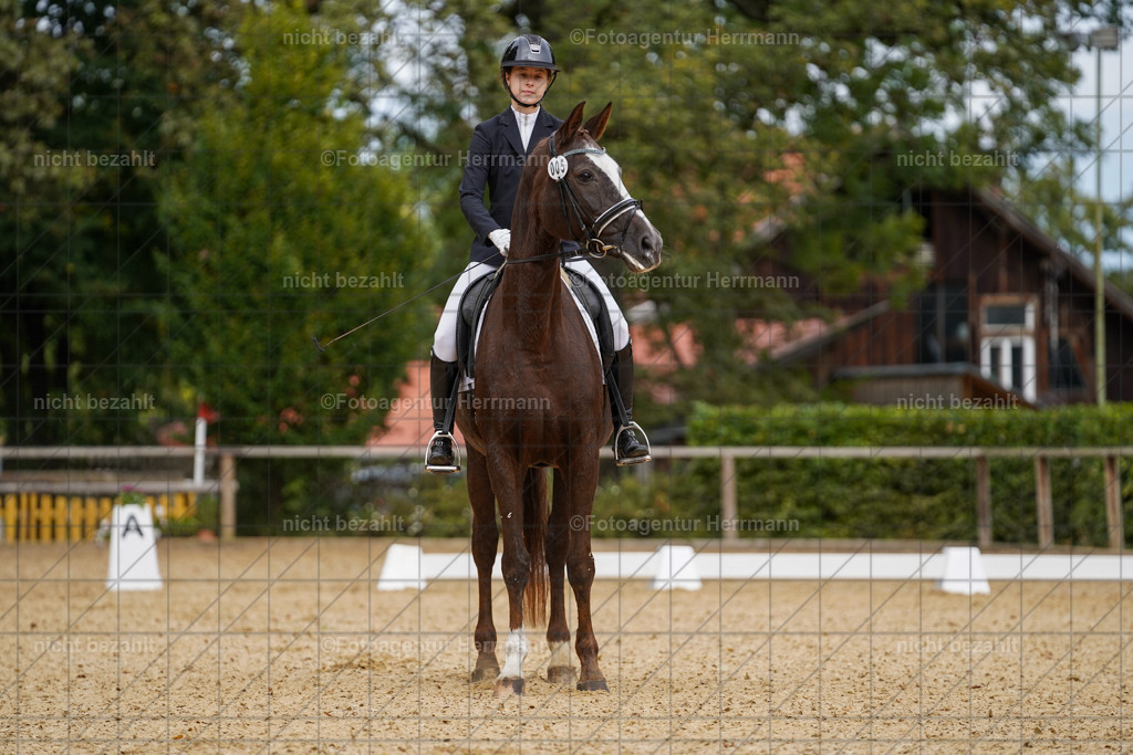 20231007-SN_00399 | Diessen am Ammersee, 2023, Dressur- und Springturnier, Reitsport, Turnierfotografie, Pferdebilder, Reitbilder, Turnierfotografen Bayern, Fotoagentur Herrmann