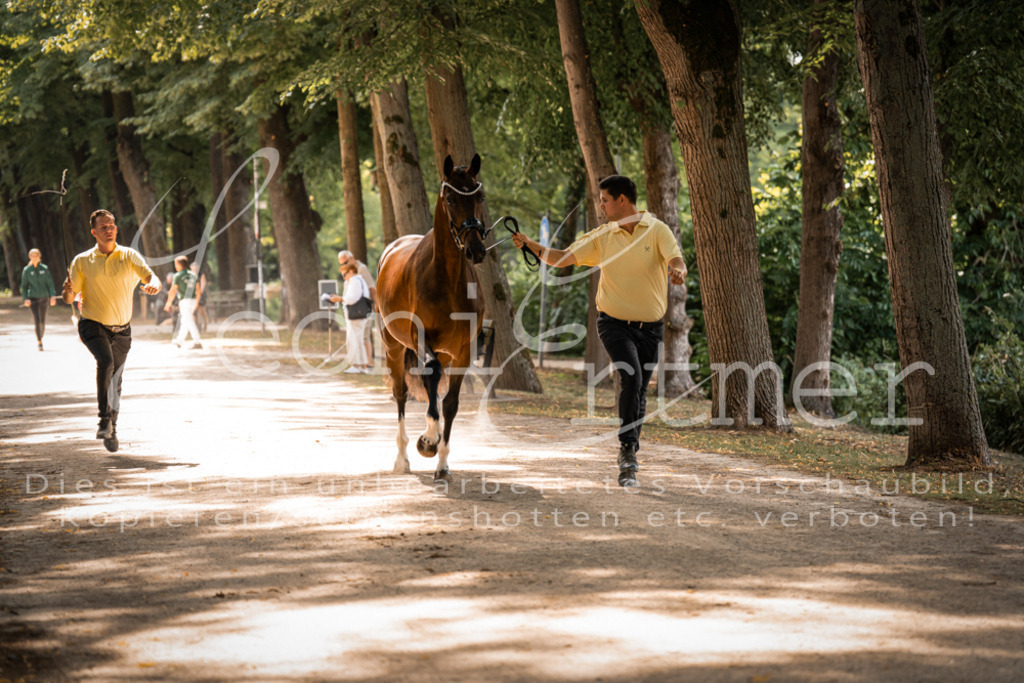 FrPfM00200 | Leoni Ertmer Photography - Realisiert mit Pictrs.com