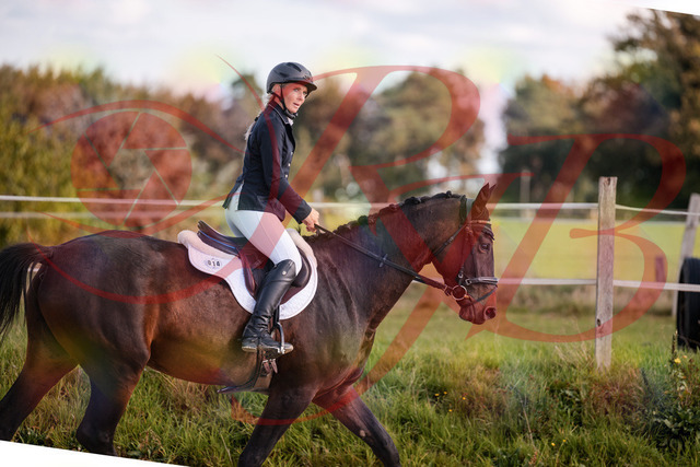 2026_10_03_Siefer-Hof_144005_Z81_10793156 | Professionelle Reitsport-, Turnier- und Eventfotografie von Robert Broda. Galerien mit ausgewählten und bearbeiteten Bildern direkt online ansehen und bestellen.