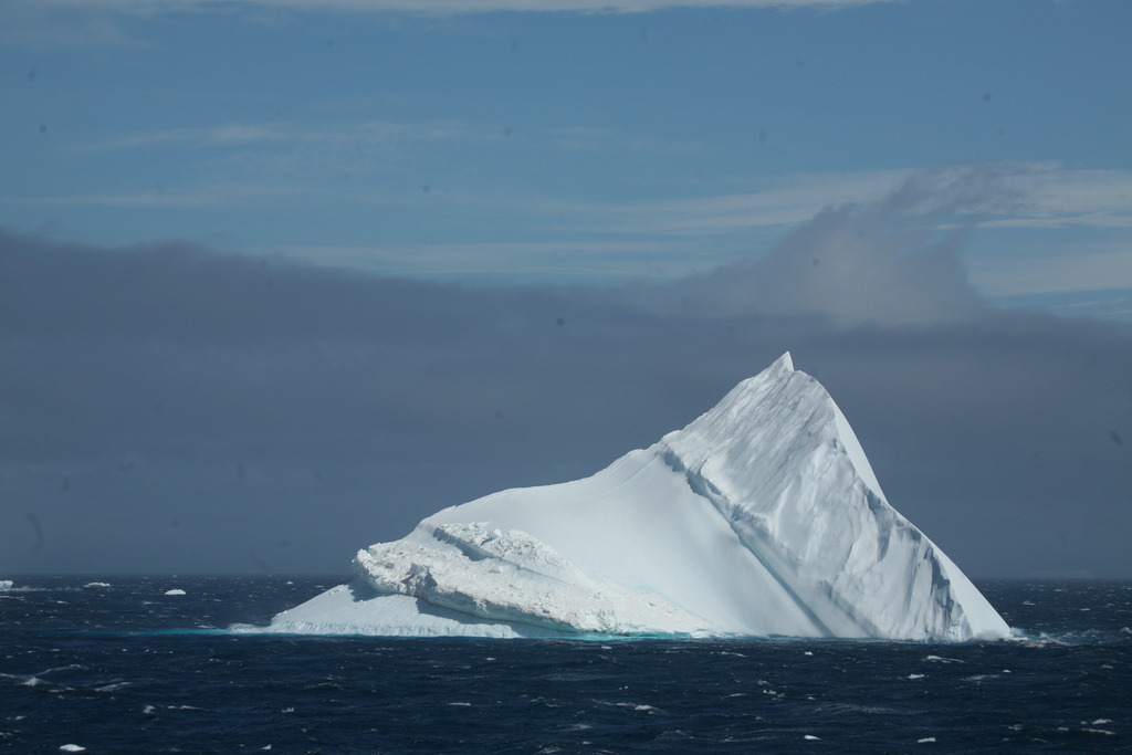 IMG_8574 | Antarktis / Antarctica - Realisiert mit Pictrs.com