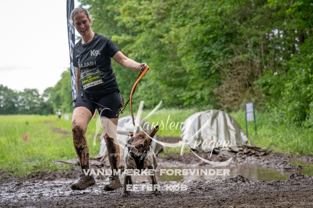 1528_ZZ93641-Bearbeitet | kk-dogfotos