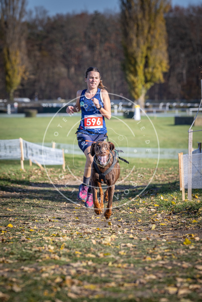 CaniXpix_DV3A9387 | Hundefotografie, Tierfotograf, Pfotenfotografie, Fotoshooting Hund, Hunde Portrait, Hundesport, Hundeportraits, Heideshooting, Hunde, Sportfotograf, Hundefotograf, Turnierhundsport, THS,  - Realisiert mit Pictrs.com