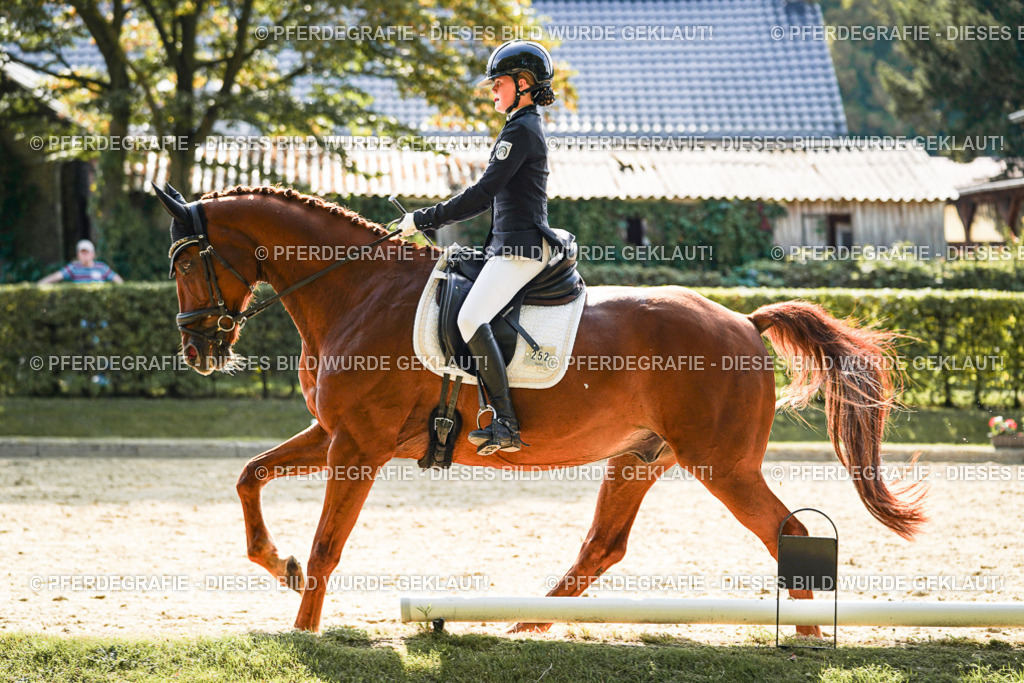 DSC08581 | Pferdegrafie