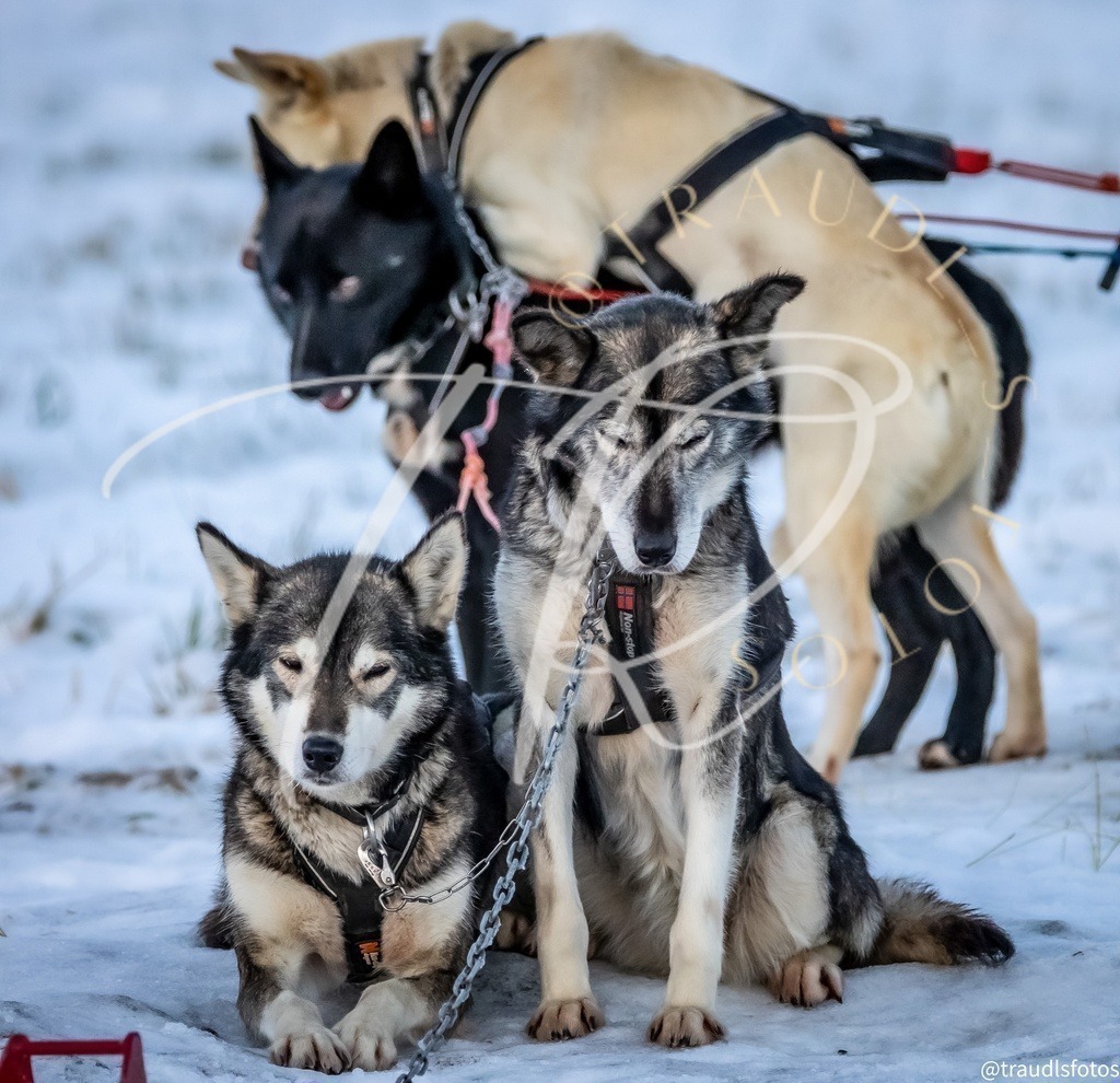 600D3D87-2E6A-4BB9-9893-18F8B1EE6CC4 | traudl_s_fotos