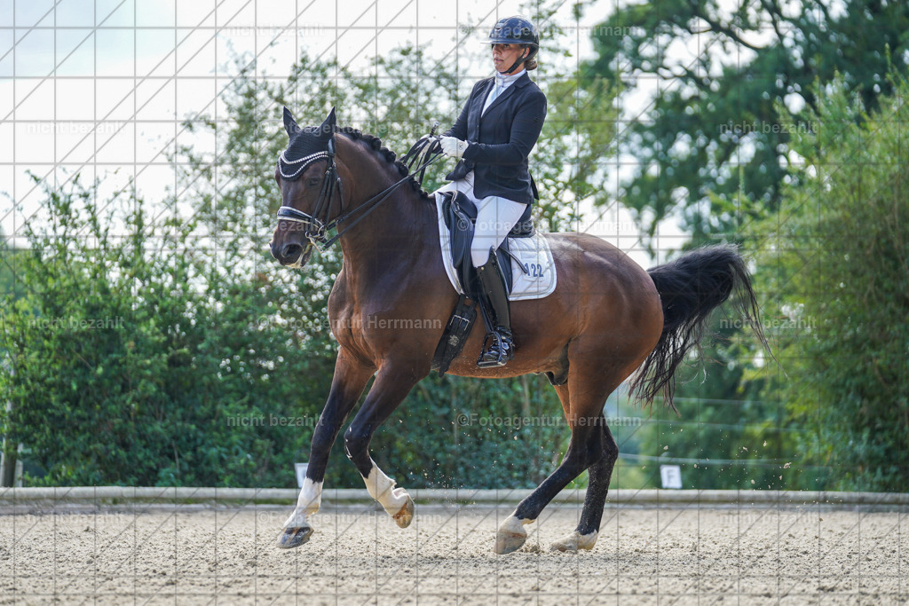20230826-FAH05736 | Forstinning, 2023, Dressurturnier, Turniersportbilder, Turnierfotografen Bayern, Fotoagentur Herrmann, Reitsportfotografie, Turnierbilder