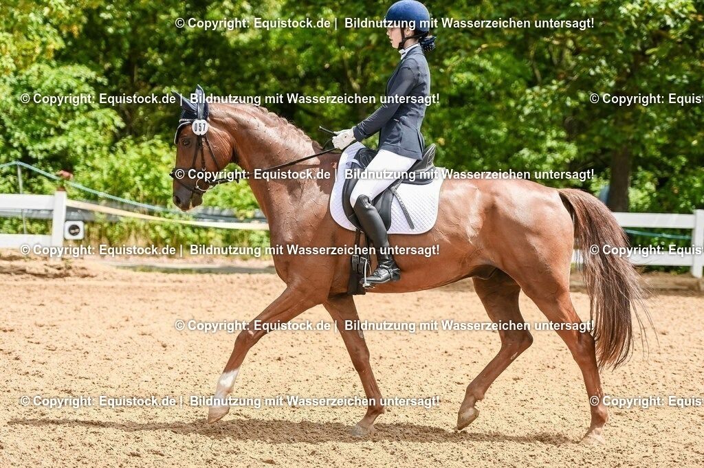 20230716_03_Dressurprfg. Kl.L - Tr._0306 | equistock