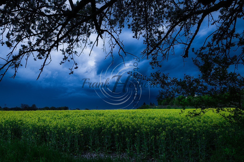 2022_05_04_3020 | Frank Herberich Fotografie, Frank Herberich, Fotografie, Hochzeit, Portrait, St. Peter Ording, Ording, Westerhever, Nordsee, Frank Fotografie, Hardheim,  Odenwald,Walldürn, Band,Eventfotografie - Realisiert mit Pictrs.com