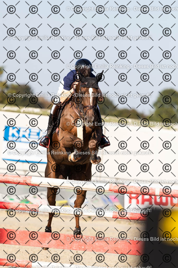 CL5A6950 | Emilia Reinking Fotografie - Realisiert mit Pictrs.com