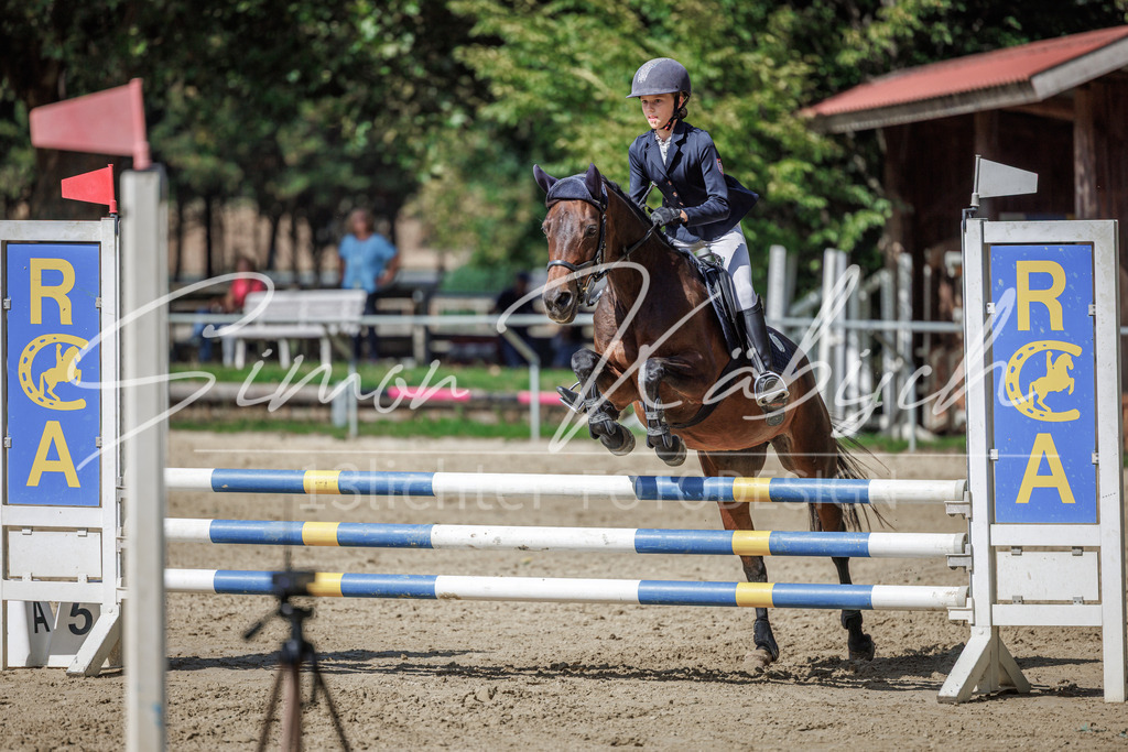 20260905-_3LI9215 | Tierfotografie Pferde, Hunde, Katzen, Haustiere.
Turnierfotografie Reitturniere, Reiten, Springreiten, Dressur in Hanau, dem Main-Kinzig-Kreis und dem Rhein-Main- Gebiet um Frankfurt