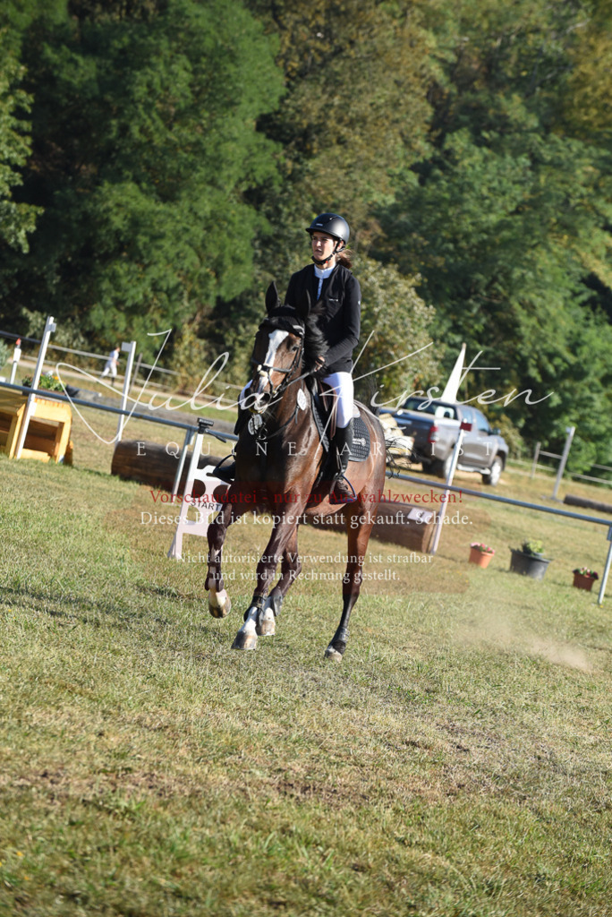 DSC_5134 | Pferde- und Turnierfotografie in Westsachsen. Pferdeportraits, Auftragszeichnungen und intuitive Kunst.