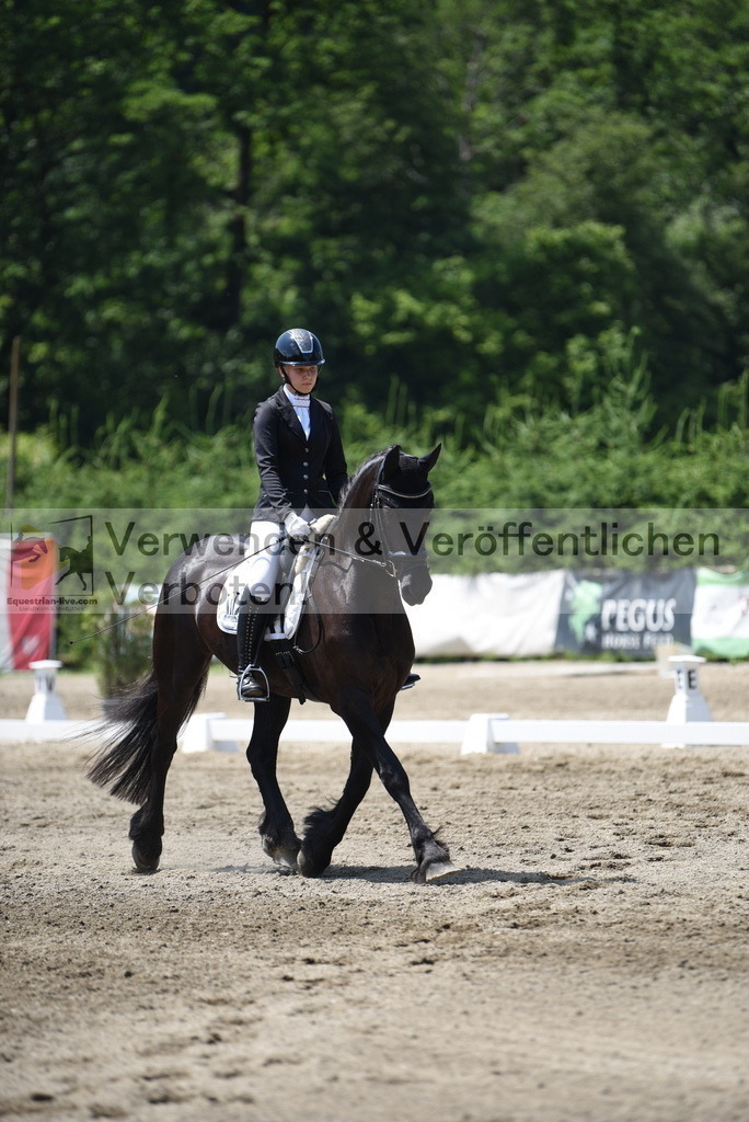 DSC_0443 | equestrian-live-com