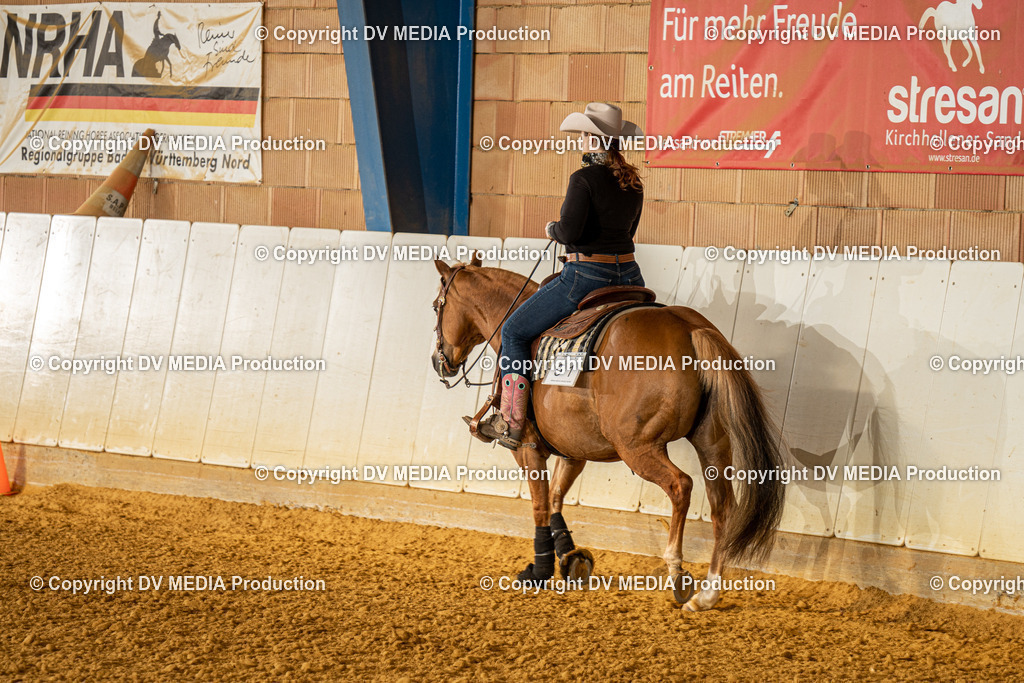 MIT00613 | dv-media-shop - Realisiert mit Pictrs.com