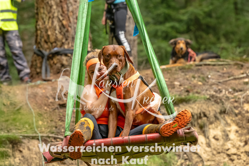 1315_ZZ92304-Bearbeitet | kk-dogfotos