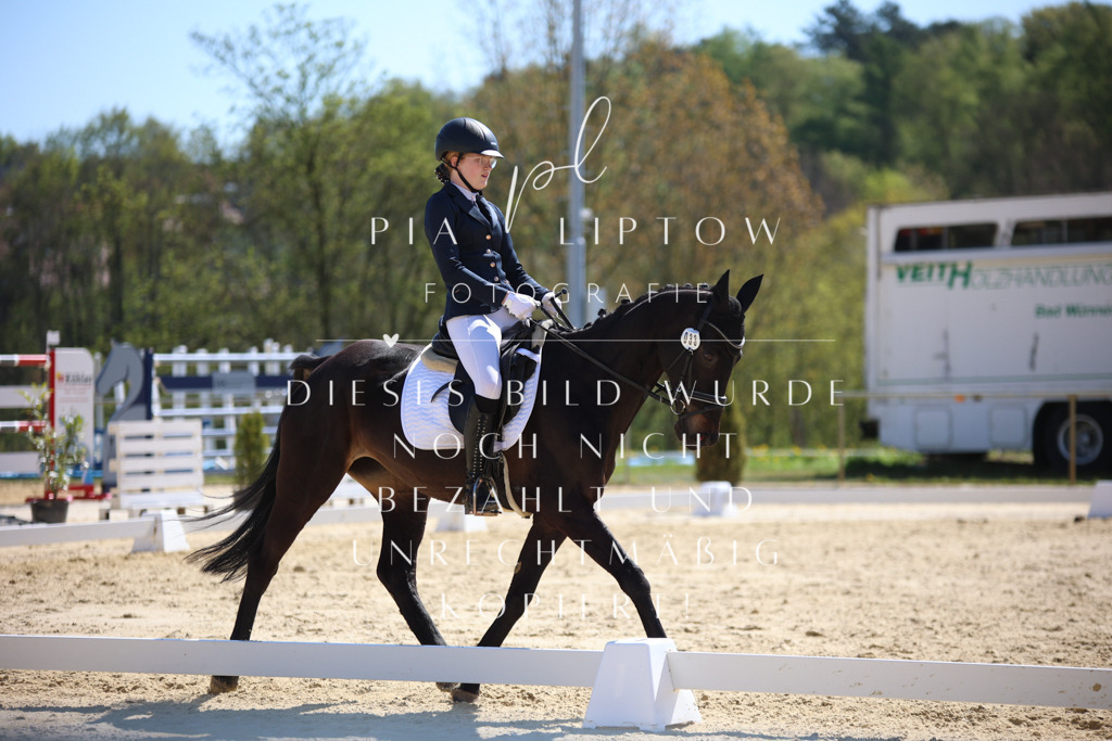 IMGT0365 | pl-fotografie