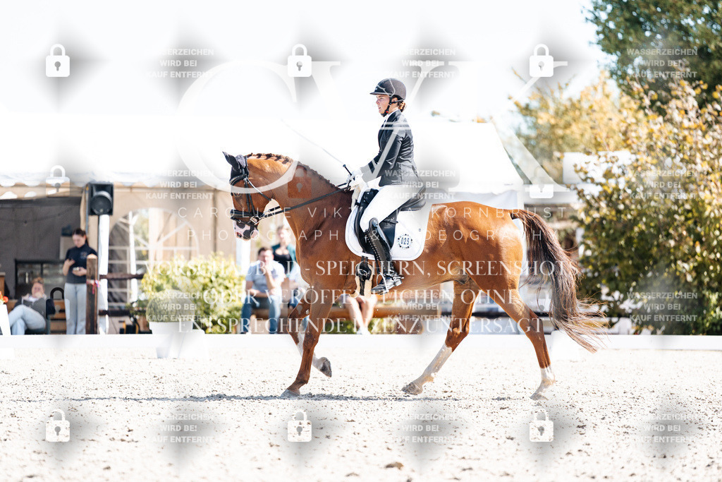 CK909563 | Turnierfotografie Pferdefotografie Trier Rheinland-Pfalz Pferdesport Reitsport Tierfotografie Sportfotografie Pferdevideo Pferdevideografie Equestrianvideography equestrianphotography  - Realisiert mit Pictrs.com
