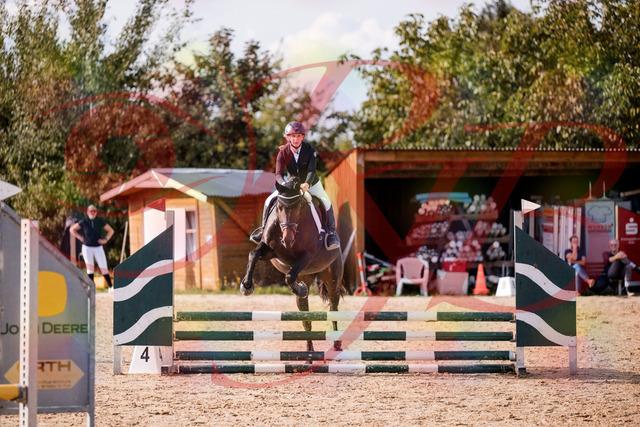 2026_10_03_Siefer-Hof_154935_Z81_68350901 | Professionelle Reitsport-, Turnier- und Eventfotografie von Robert Broda. Galerien mit ausgewählten und bearbeiteten Bildern direkt online ansehen und bestellen.
