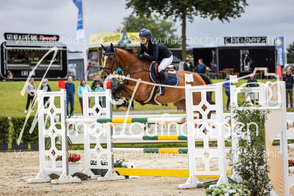 BHO-2PhSpr-M-5-2411 | MomenTaufnahmen Pferdesportfotos