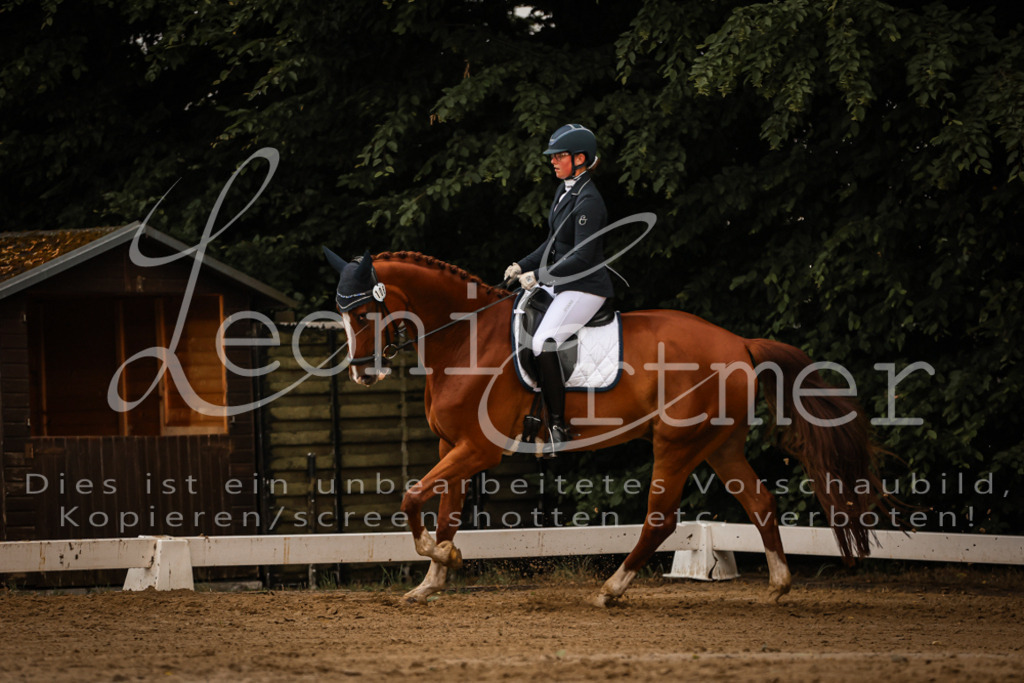 17.SoDrL00239 | Leoni Ertmer Photography - Realisiert mit Pictrs.com