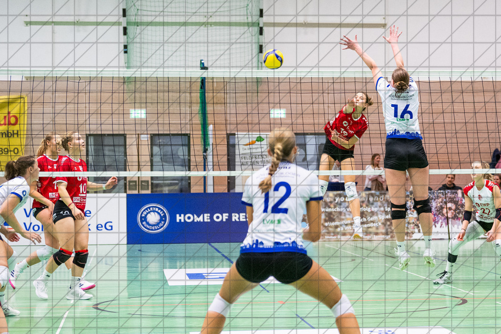 2. VBLF Nord 25/26 | Spiel 4017 | VC Osnabrück vs. Potsdam II | TÖNSING Jolina (VC Osnabrück e.V. #16) versucht Schulz Edda (SC Potsdam II #19) zu blocken.//  25.10.25: 2. VBLF Nord 25/26 | Spiel 4017 | VC Osnabrück vs. Potsdam II / Osnabrück / Deutschland  //   CREDIT:www.bullenfotos.de, Martin König, Hörner Weg 40, D-49078 Osnabrück, +4917663732967 // Nutzung und Weitergabe nur zu den vereinbarten Zwecken. Presseanfragen an Ersteller. Alle Rechte beim Ersteller. Honorierung nach MFM. - Realisiert mit Pictrs.com