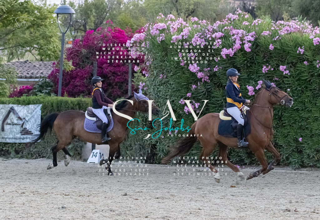 IMG_0263 | s-jay-photography - Realisiert mit Pictrs.com