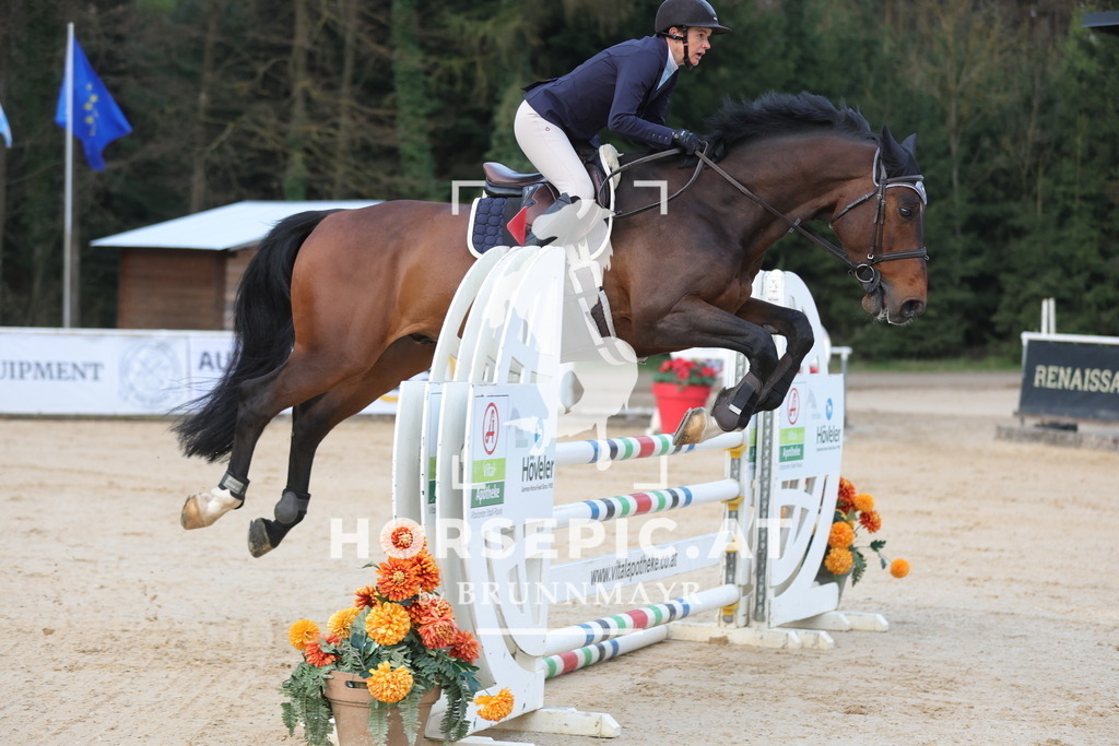 0P6A2888 | Willkommen bei Brunnmayr - Design & Fotografie – Ihrem Spezialisten für Reitturniere und Pferdeveranstaltungen in Oberösterreich, Salzburg und Bayern! Seit über 17 Jahren sind wir leidenschaftlich dabei.