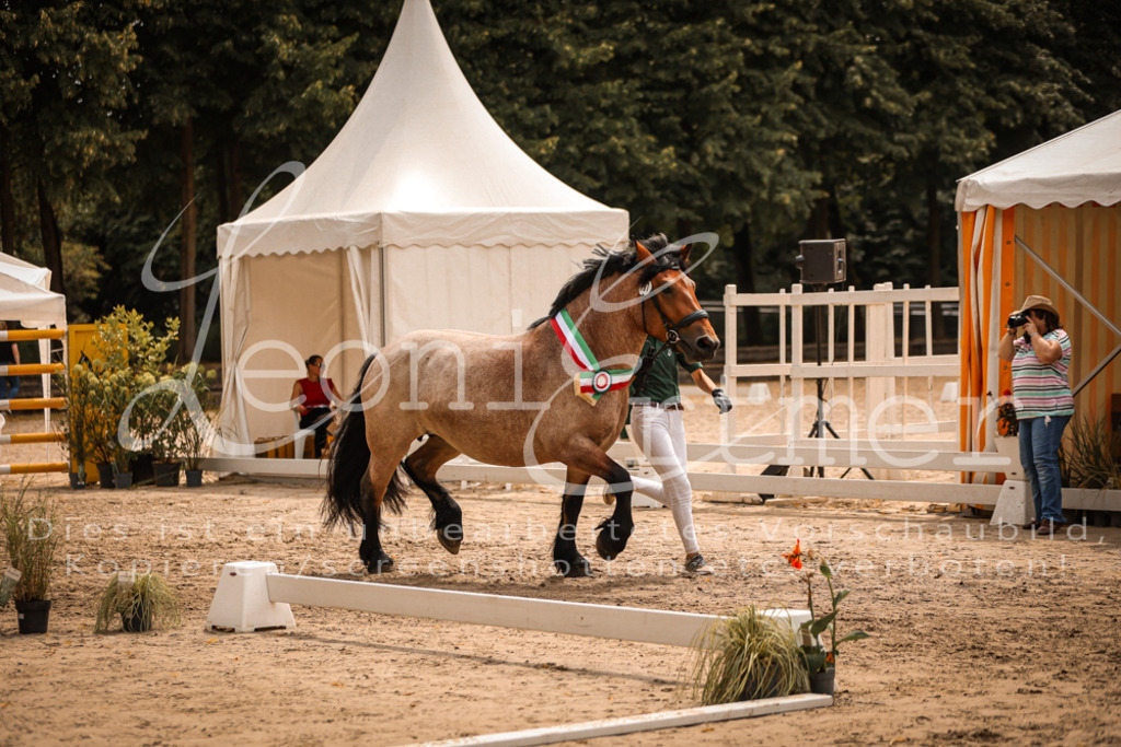 SaSieger00077 | Leoni Ertmer Photography - Realisiert mit Pictrs.com