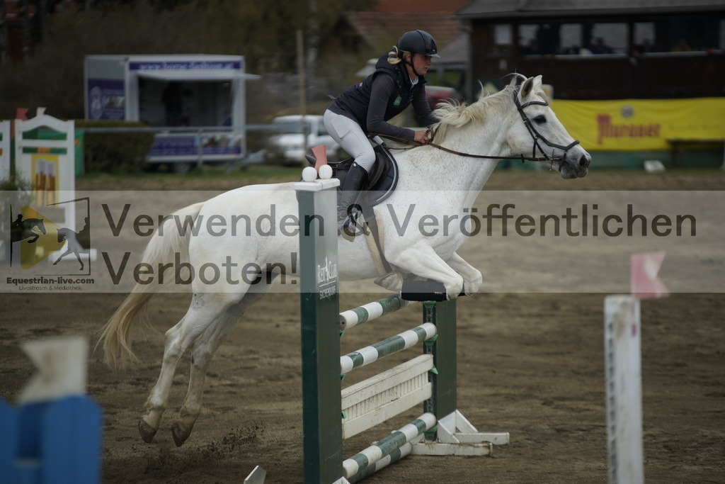 _DSC7430 | equestrian-live-com