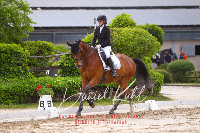 DKP40140 | Turniersportfotografie; Pferdefotografie; Dressurfotografie