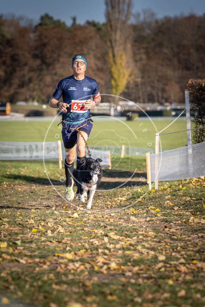 CaniXpix_DV3A0877 | Hundefotografie, Tierfotograf, Pfotenfotografie, Fotoshooting Hund, Hunde Portrait, Hundesport, Hundeportraits, Heideshooting, Hunde, Sportfotograf, Hundefotograf, Turnierhundsport, THS,  - Realisiert mit Pictrs.com