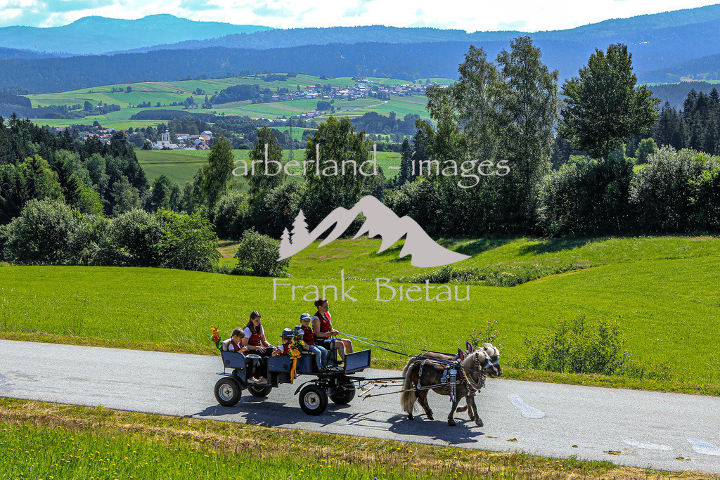 OE7A5599 | Seit Jahrzehnten gibt es diese eindrucksvolle Pferdeveranstaltung der Pferdefreunde Rinchnach. Der Ursprung, bei der Gedächtnisfahrt an bereits verstorbene Pferdefreunde zu erinnern ist bis heute geblieben.