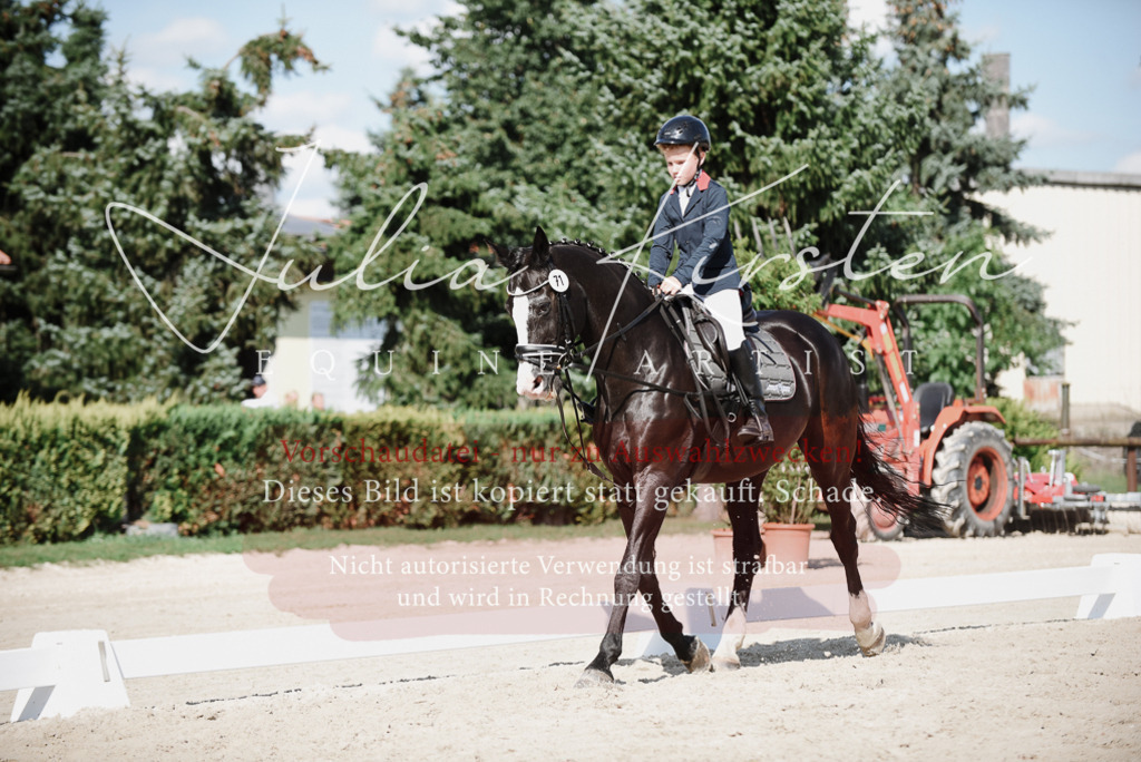 DSC_9897 | Pferde- und Turnierfotografie in Westsachsen. Pferdeportraits, Auftragszeichnungen und intuitive Kunst.