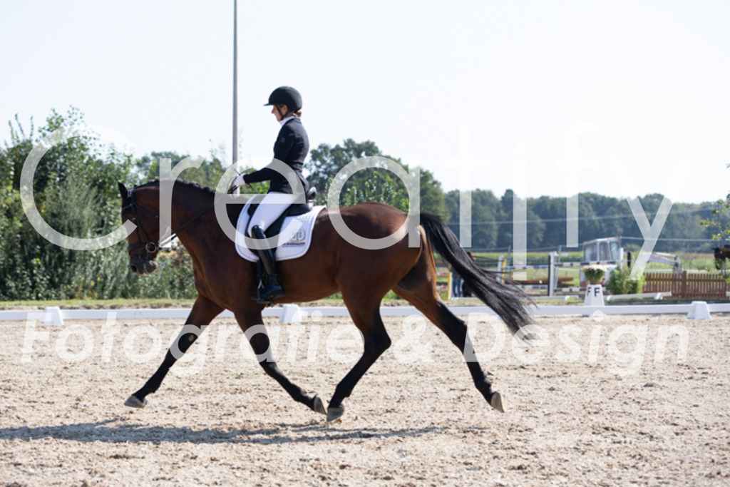 IMG_4122 | Creatify Fotografie