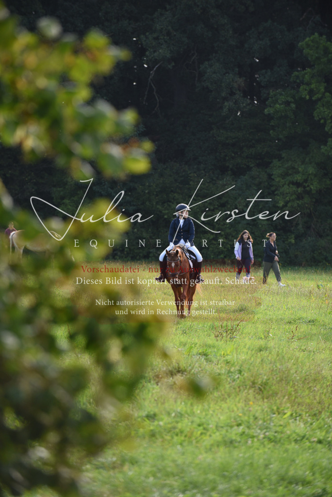 DSC_8536 | Pferde- und Turnierfotografie in Westsachsen. Pferdeportraits, Auftragszeichnungen und intuitive Kunst.