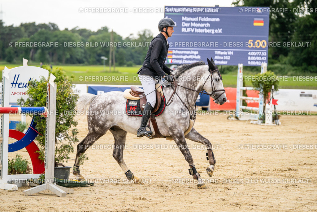 DSC06084 | Pferdegrafie