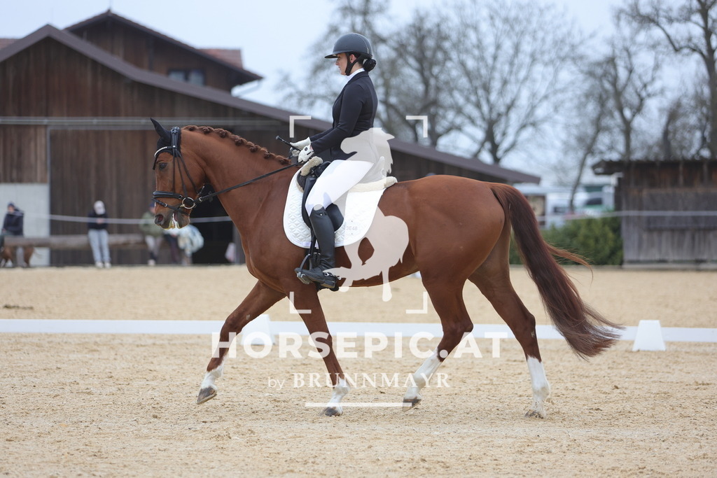 0P6A4694 | Willkommen bei Brunnmayr - Design & Fotografie – Ihrem Spezialisten für Reitturniere und Pferdeveranstaltungen in Oberösterreich, Salzburg und Bayern! Seit über 17 Jahren sind wir leidenschaftlich dabei.