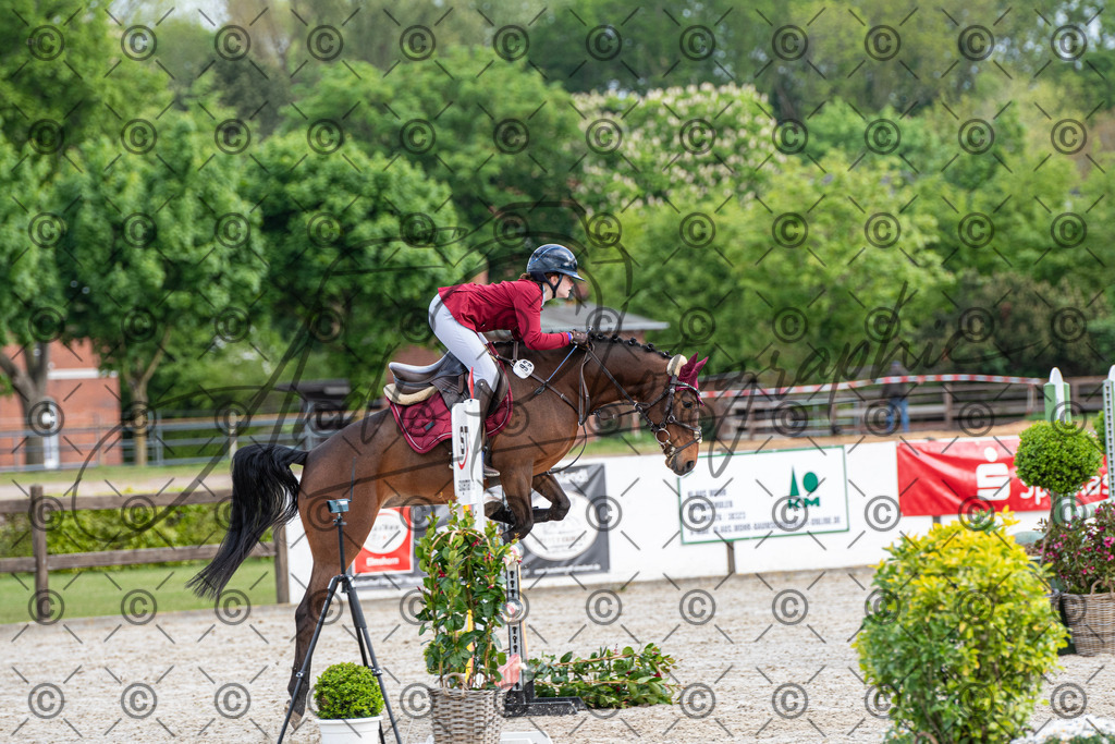 KPT_8022 | andre_photographic