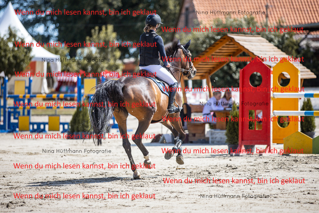 BK1A6603 | Turnierbilder Turnierfotos Nina Hüffmann Turnierfotografie Pferdefotografie Tierzeichnung Haustierzeichnung Pferdezeichnung Hundezeichnung Videograf  - Realisiert mit Pictrs.com