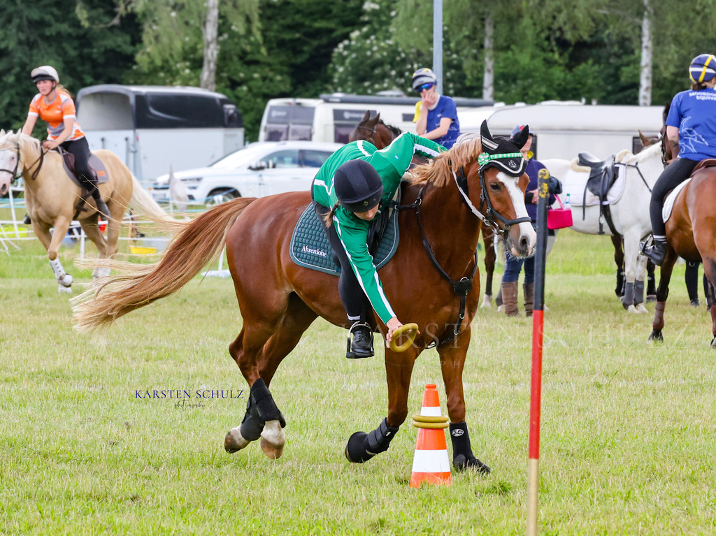 1B3A4496 | Reitsport Reiten