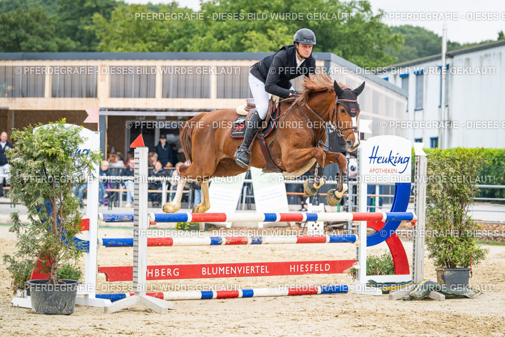 DSC00668 | Pferdegrafie