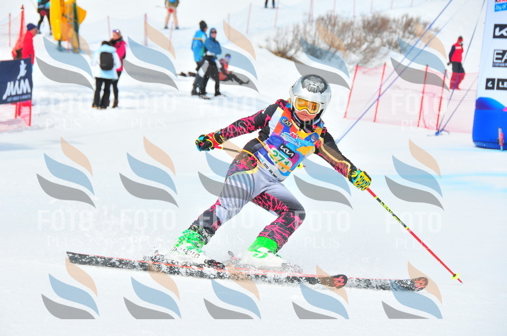 DSC_2521 | holidayphoto