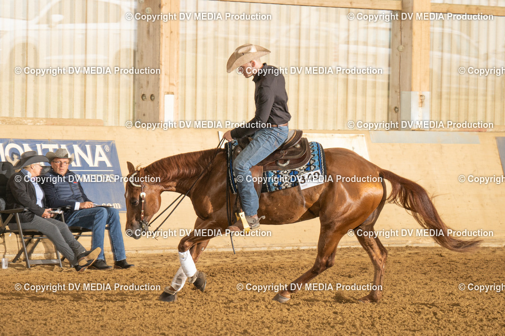 LAU00481 | dv-media-shop - Realisiert mit Pictrs.com