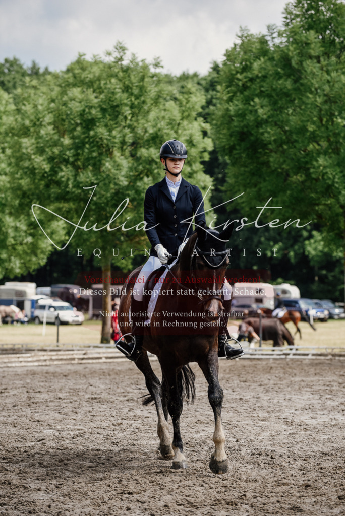 DSC_0839 | Pferde- und Turnierfotografie in Westsachsen. Pferdeportraits, Auftragszeichnungen und intuitive Kunst.