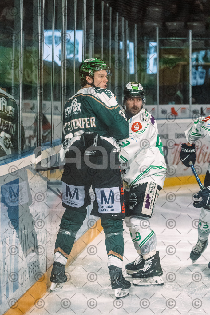 Erding_vs_Alligators_02_01_2026-56 | Höchstadt Alligators Fotogalerie: Eishockey-Action aus Franken. Professionelle Spielfotos, Portraits & Stadionbilder zum Download. Jetzt entdecken! - Realisiert mit Pictrs.com