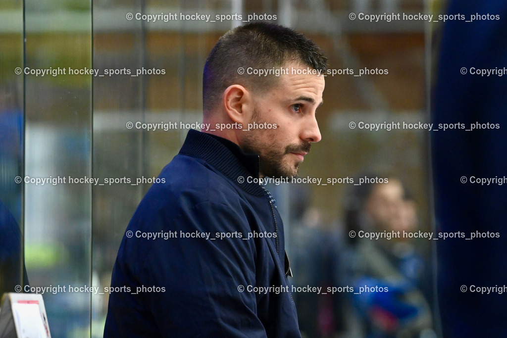 EC IDM WÄRMEPUMPEN VSV vs. HYDRO FEHERVAR AV 19 | Headcoach HYDRO FEHERVAR KISS DAVID, EC IDM WÄRMEPUMPEN VSV vs. HYDRO FEHERVAR AV 19, EC IDM WÄRMEPUMPEN VSV vs. HYDRO FEHERVAR AV 19 am 20.11.2024 in Villach (Stadthalle Villach), Austria, (Photo by Bernd Stefan)