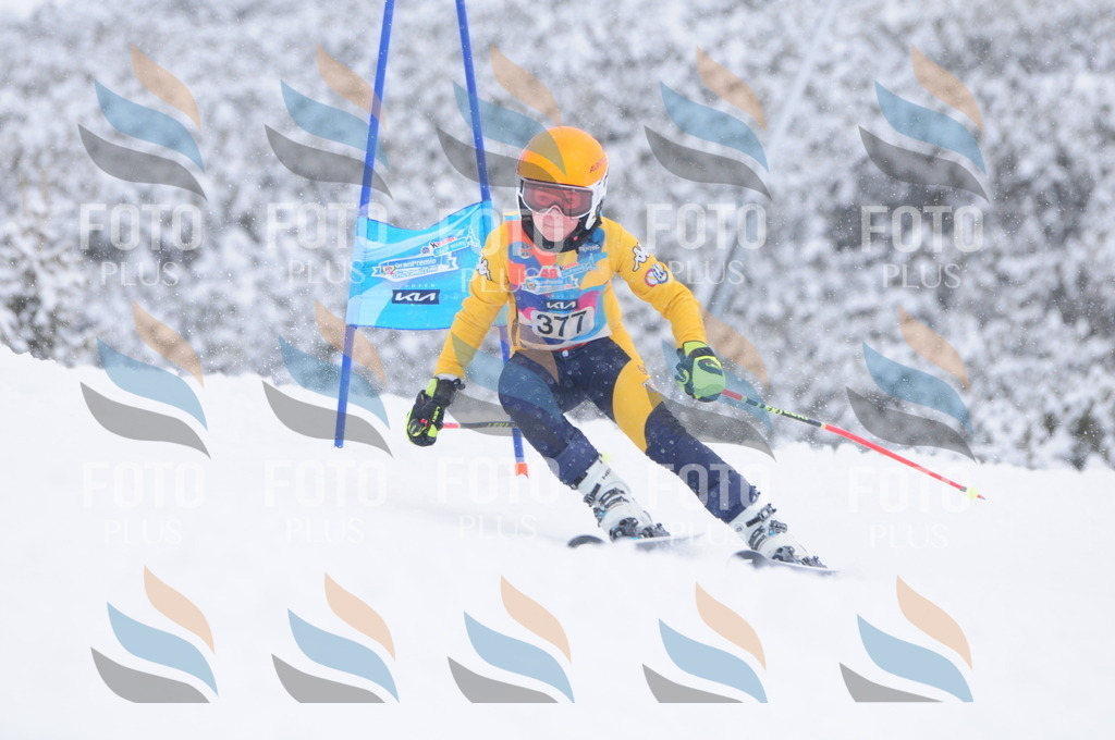 C4018 | holidayphoto